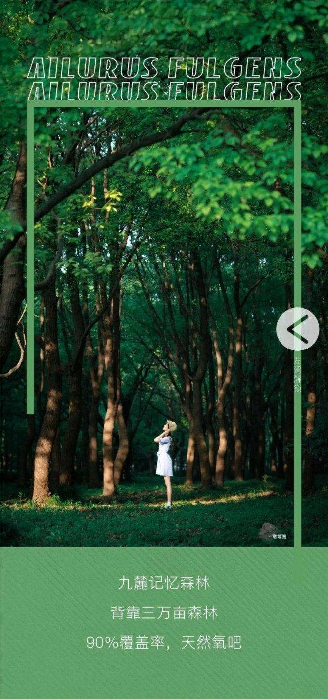 超星战舰队